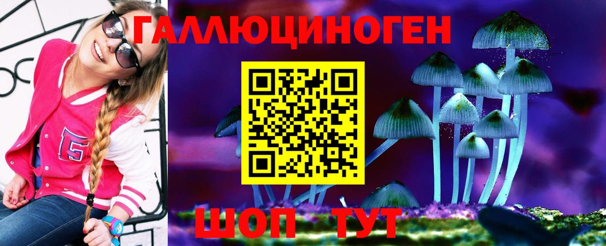 Галлюциногенные грибы Psilocybine cubensis  Галлюциногенные грибы MAGIC MUSHROOMS  Муром  Вход с VPN 